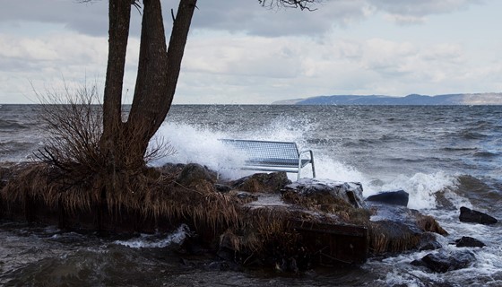 Udemøbler bænk Bonum